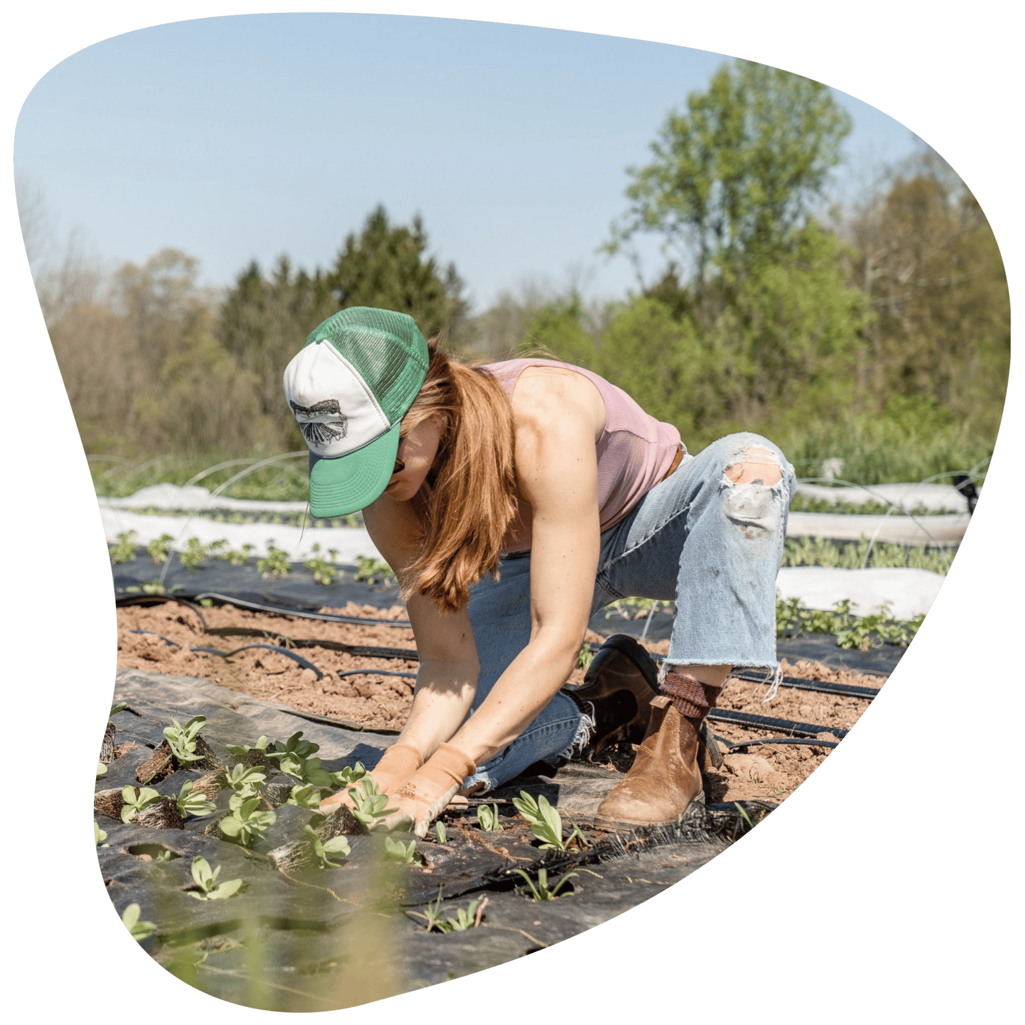 College acceptance calculator: What are your admission chances? - Prepory