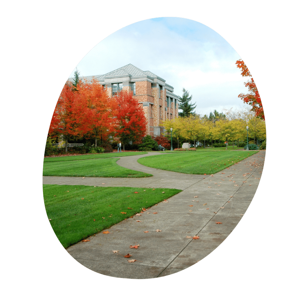 Breaking Down Pre-College Summer Programs