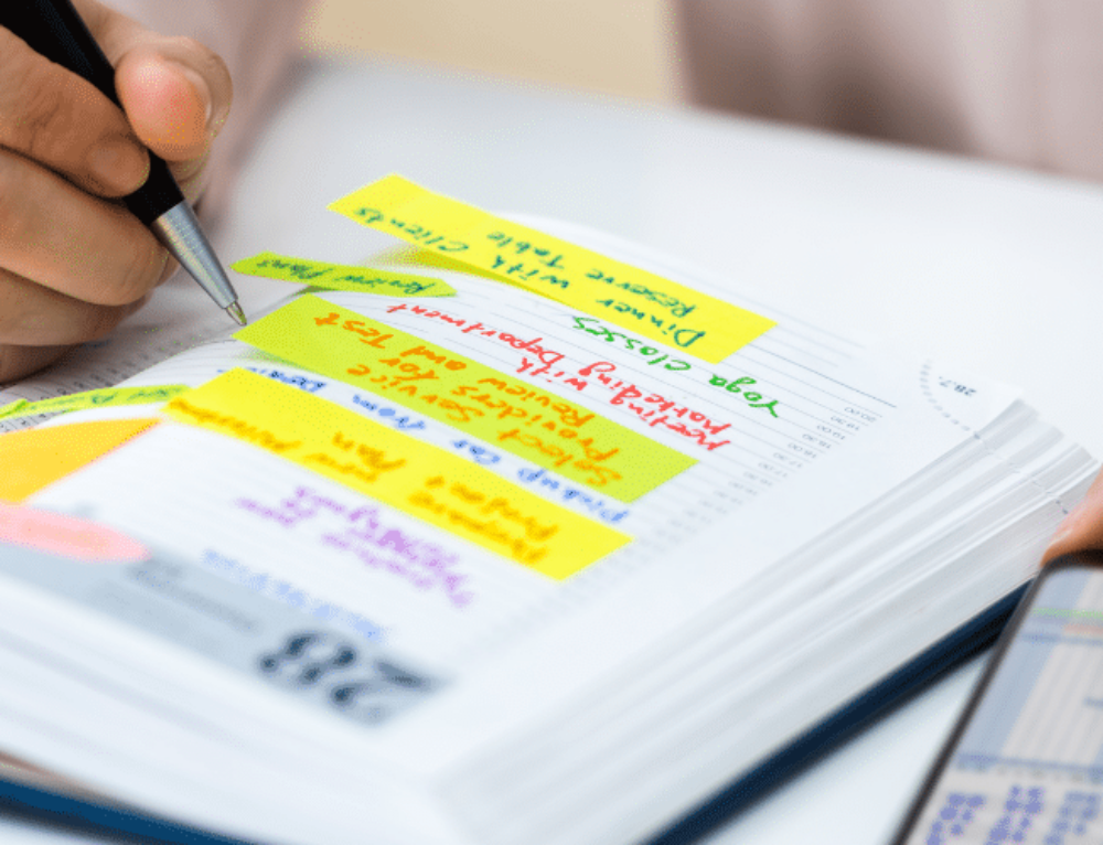 Regular decision notification dates