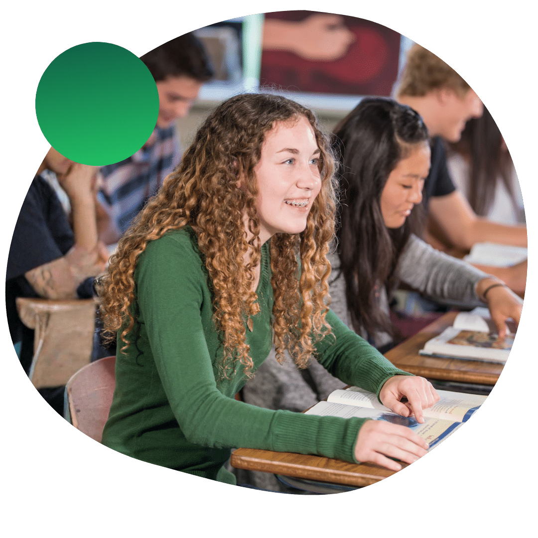 High school students studying in class