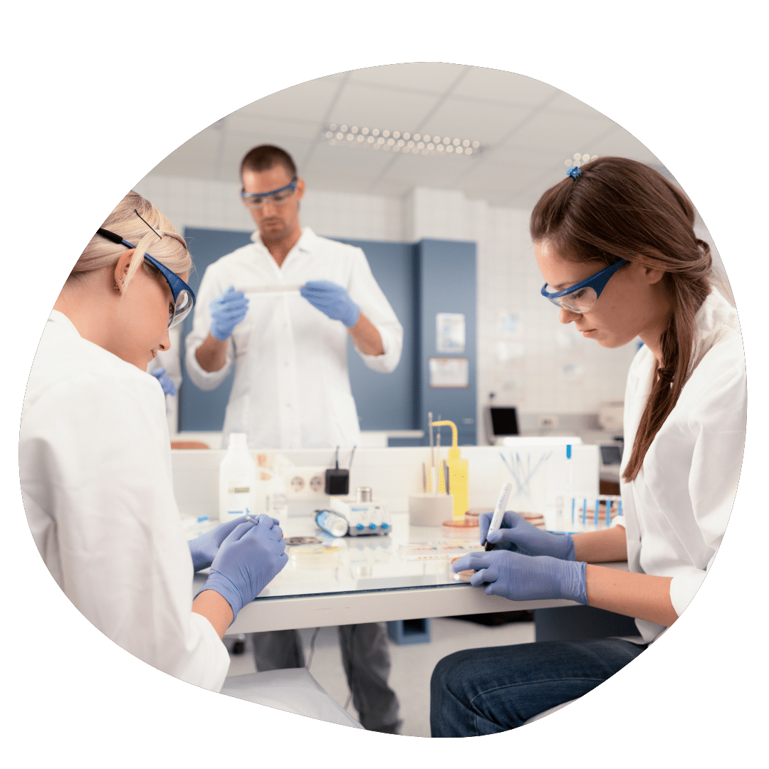 Students working in a lab